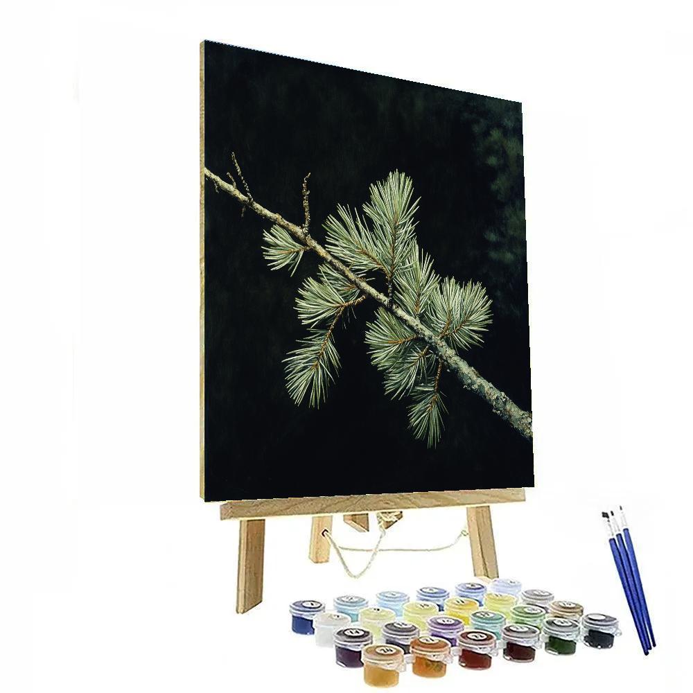 Caravaggio Inspired Winter Pine Branch Paint by numbers art