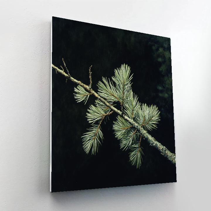 Caravaggio Inspired Winter Pine Branch Paint by numbers art