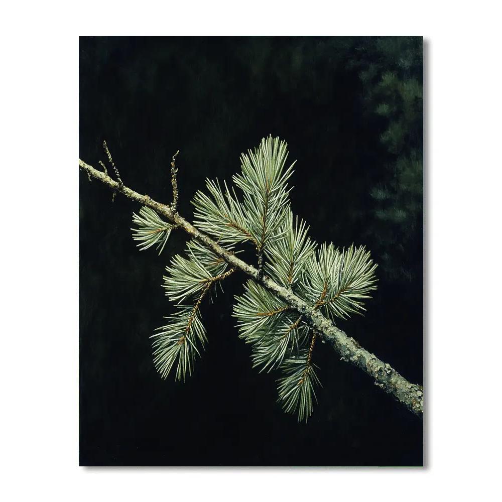 Caravaggio Inspired Winter Pine Branch Paint by numbers art