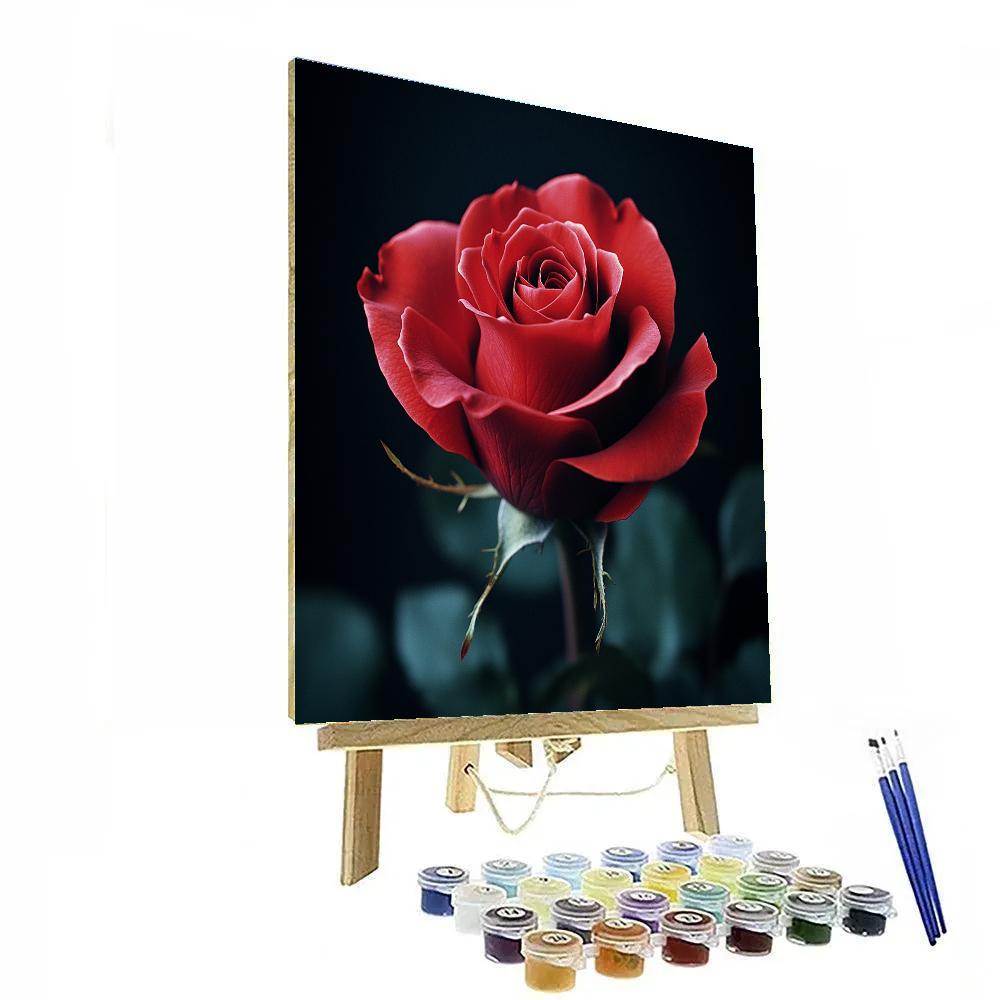 Caravaggio Inspired Shadowed Rose Numbered painting kits