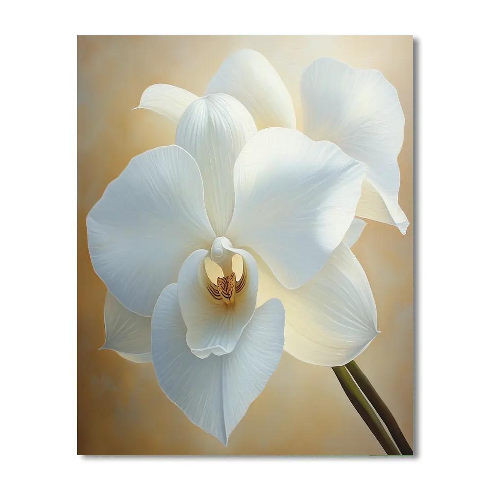Georgia O’Keeffe Inspired Majestic Orchid painting number kit
