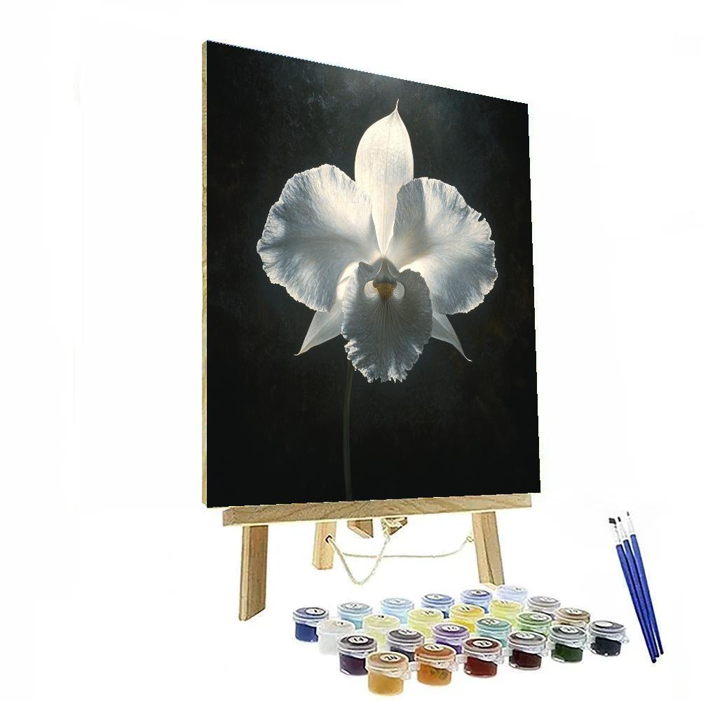 Caravaggio Inspired Storm Orchid paint by number