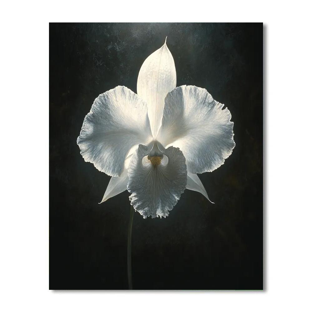 Caravaggio Inspired Storm Orchid paint by number