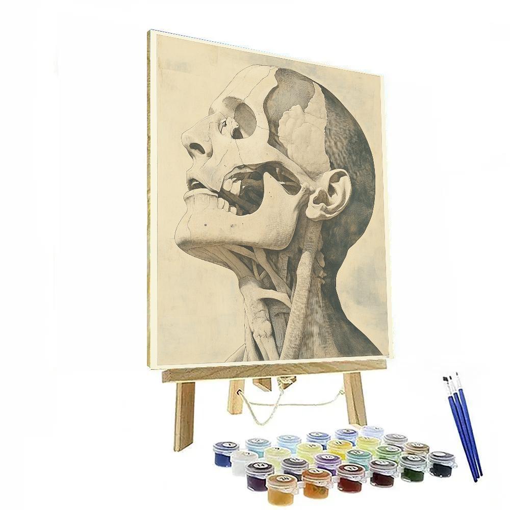 Leonardo Da Vinci Inspired Anatomical Study Of A Hand paint by color