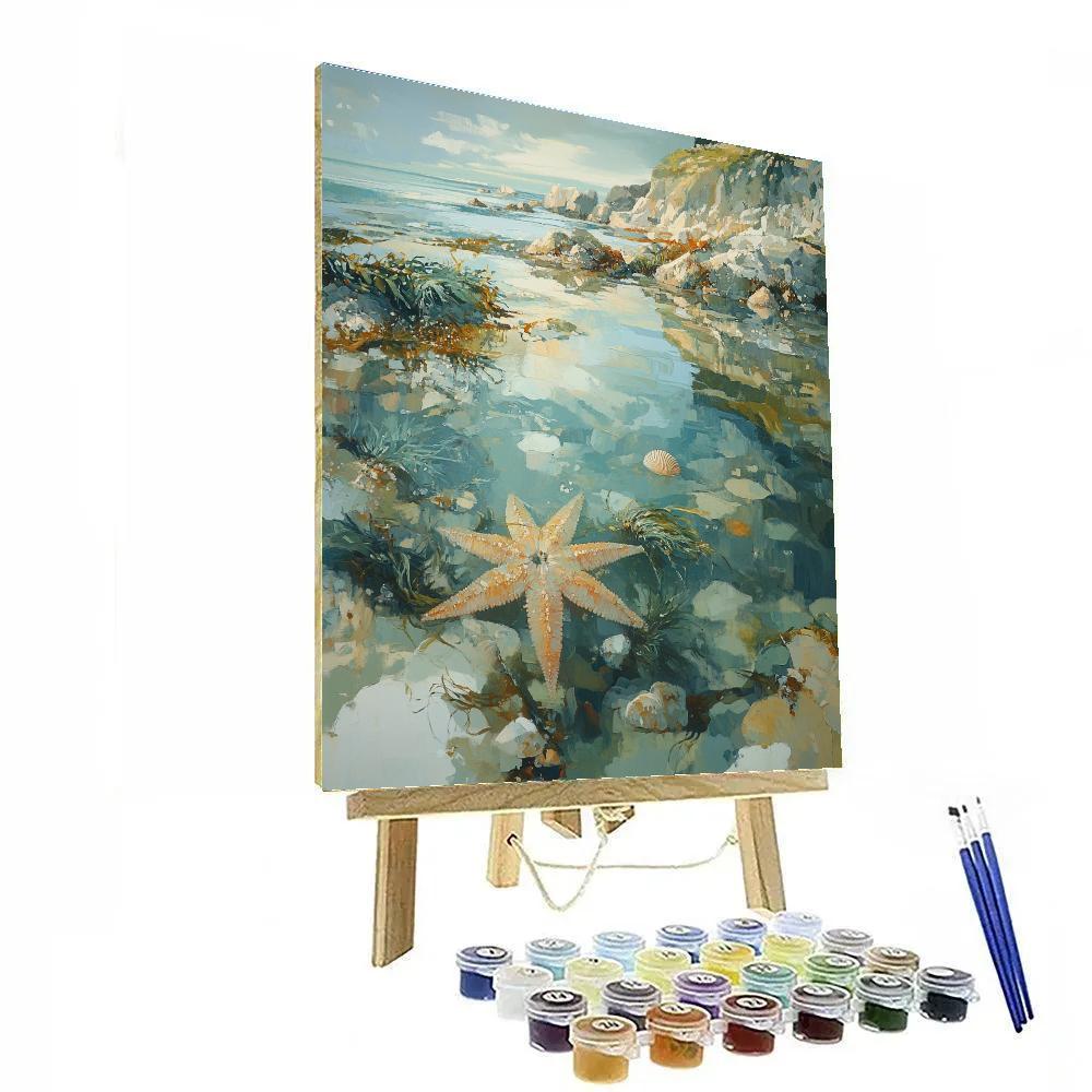 Leonardo Da Vinci Inspired Tide Pool Anatomy paint by number