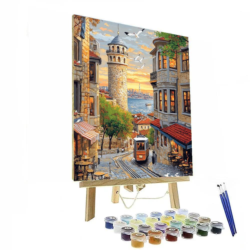 Galata Tower Panoramic Istanbul Turkey paint by color