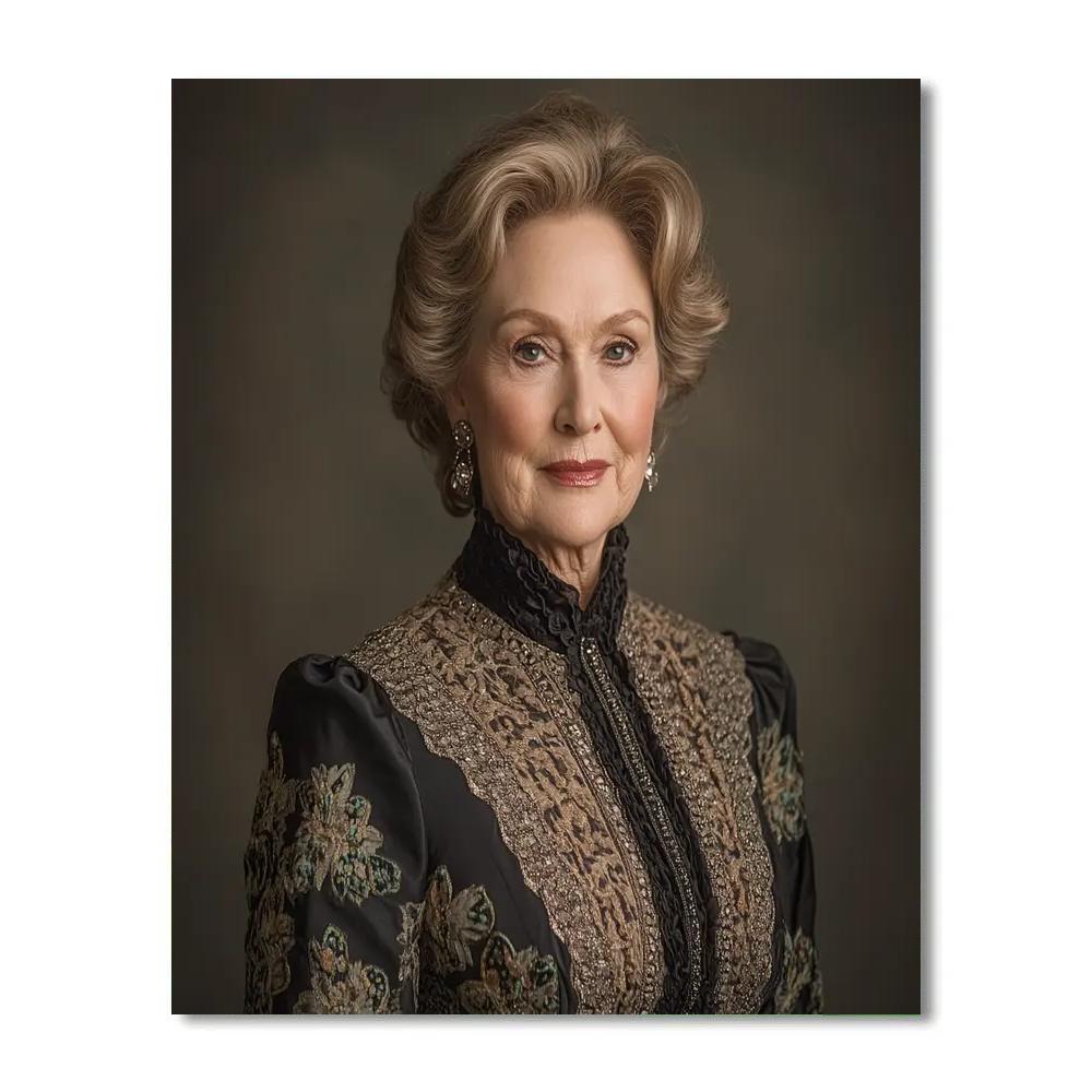 Meryl Streep: The Chameleon At The Center Stage painting number kit