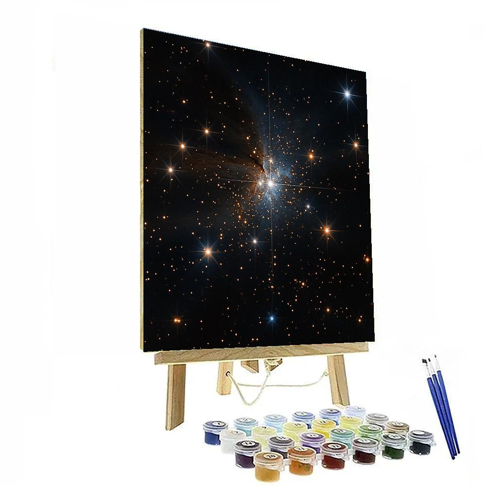 Caravaggio Inspired Starfield Reliquary Numbered painting kits