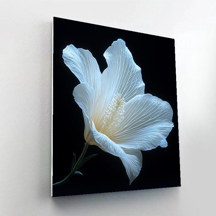 Caravaggio Inspired Celestial Bloom paint by number