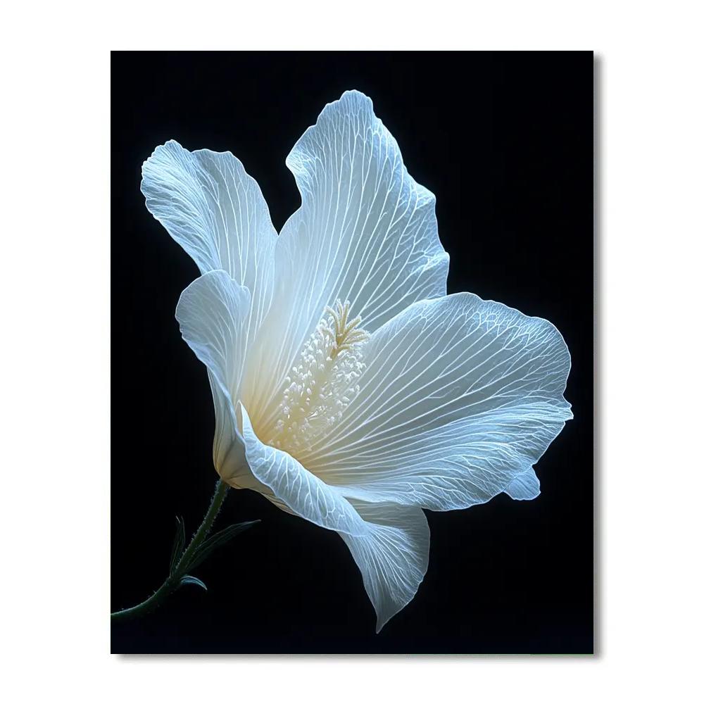 Caravaggio Inspired Celestial Bloom paint by number