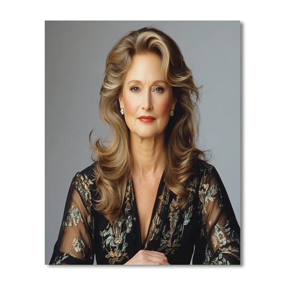Meryl Streep: The Chameleons Luminous Craft Numbered painting kits