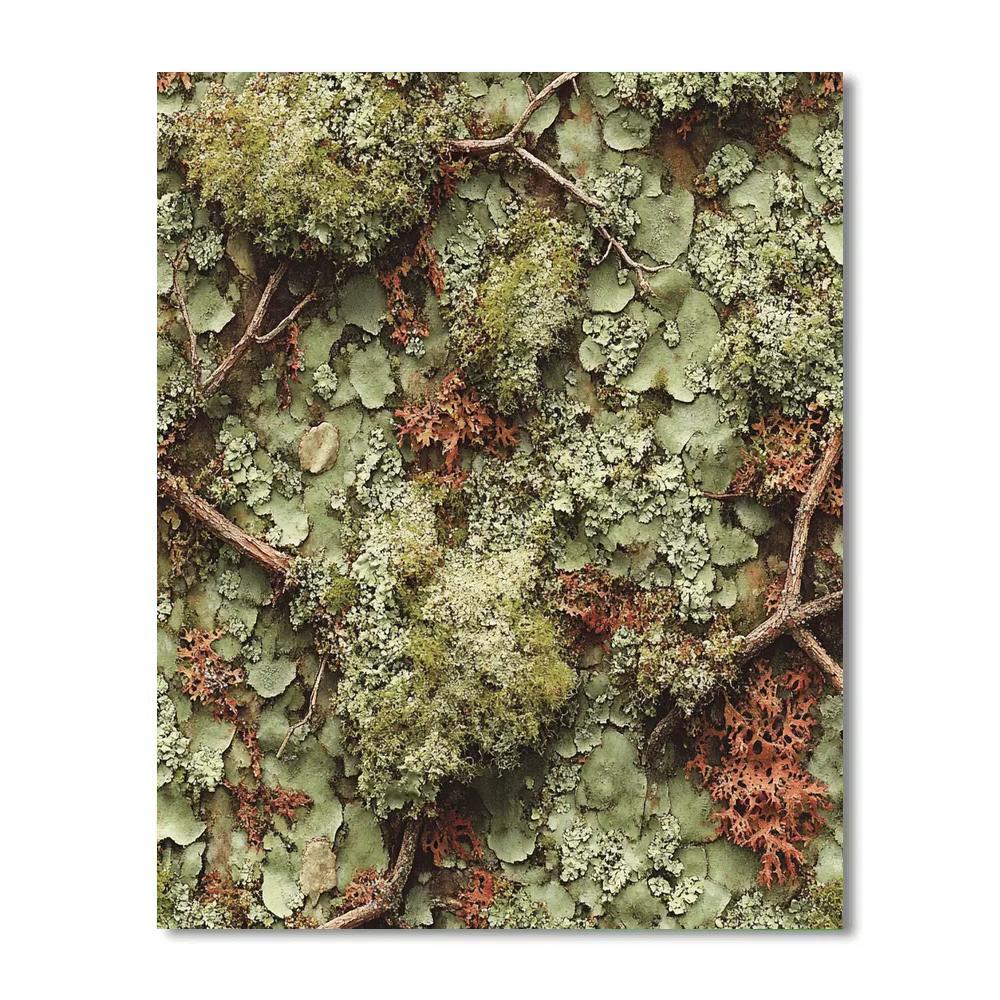 Arthur Lismer Inspired Forest Floor Sgraffito Study With Moss And Lichen painting number kit