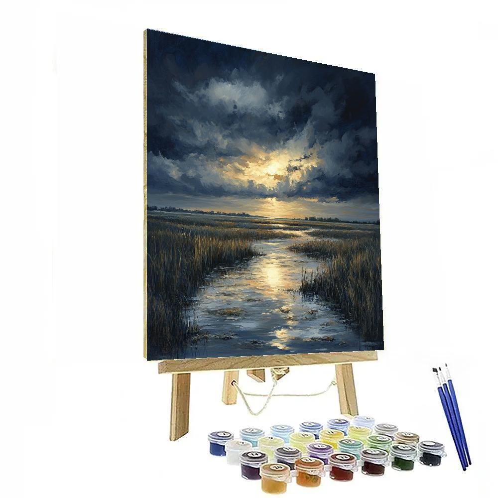Rembrandt Inspired Storm Over Lowland Marsh paint by color