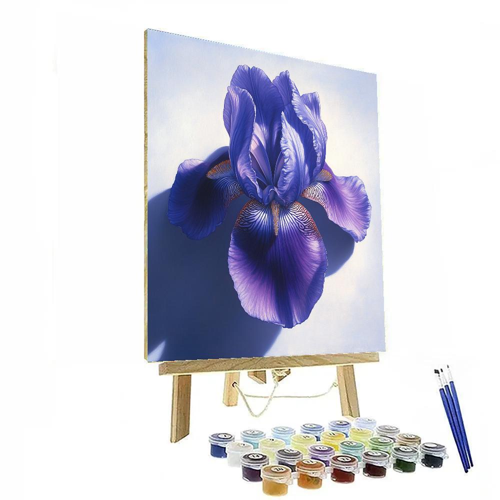 Caravaggio Inspired Celestial Iris painting number kit