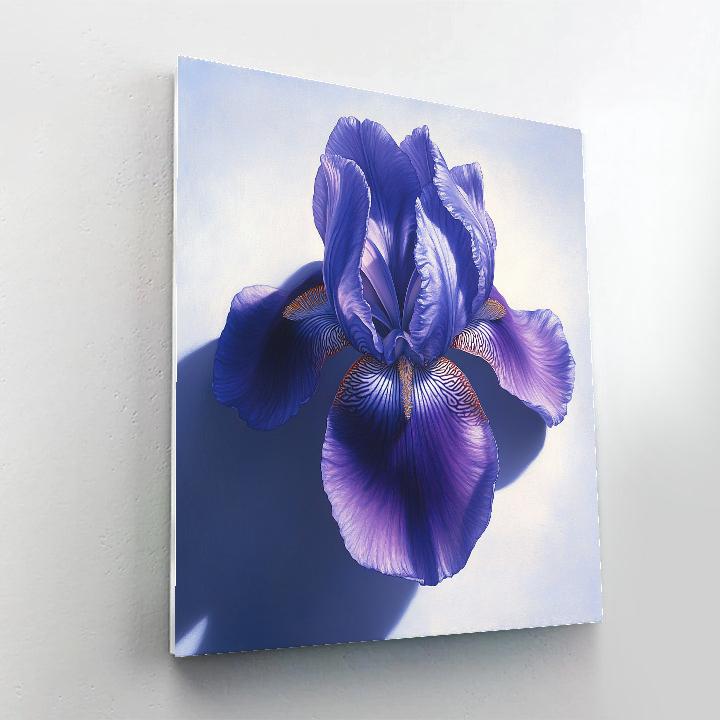 Caravaggio Inspired Celestial Iris painting number kit