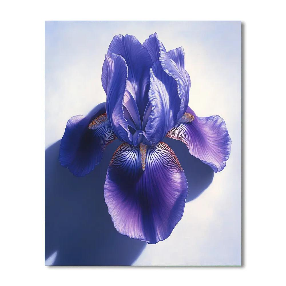 Caravaggio Inspired Celestial Iris painting number kit