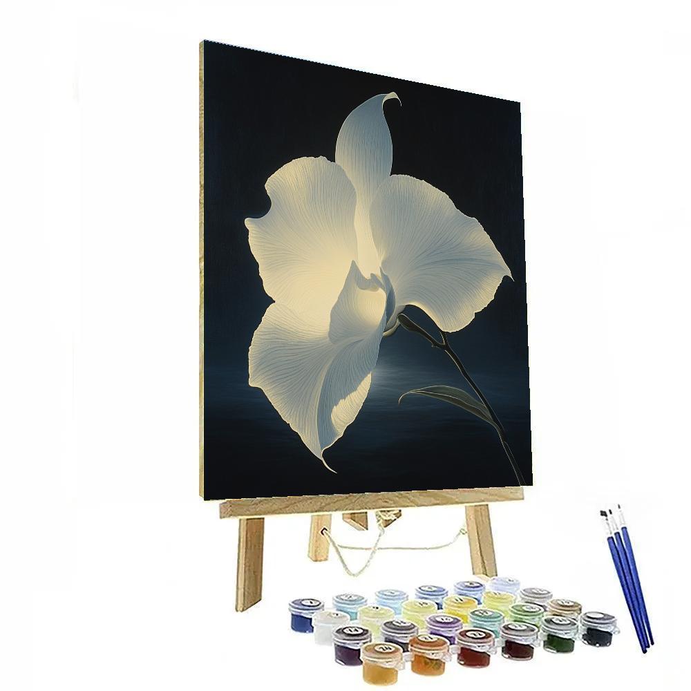 Caravaggio Inspired Moonlit Orchid Paint by numbers art