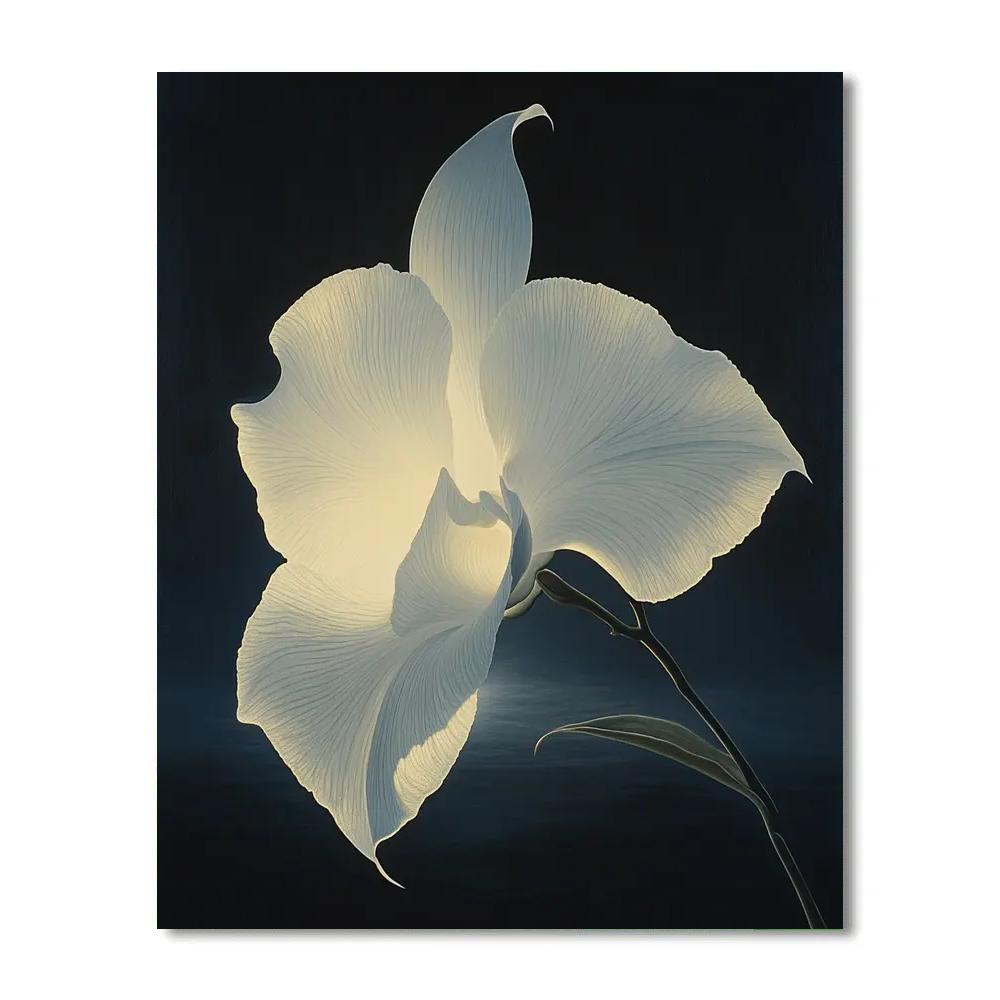 Caravaggio Inspired Moonlit Orchid Paint by numbers art