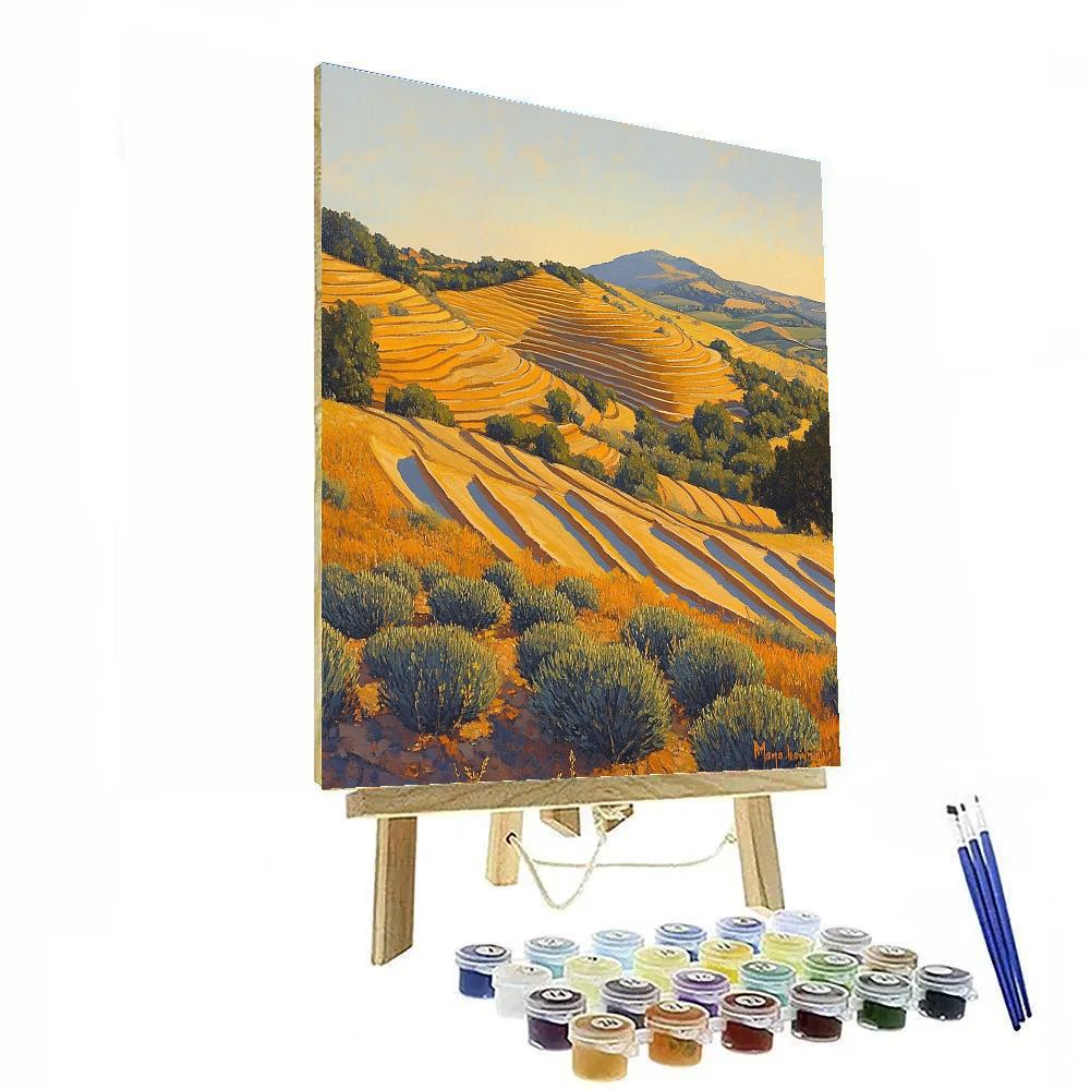 Paul Cézanne Inspired Golden Terrace painting number kit
