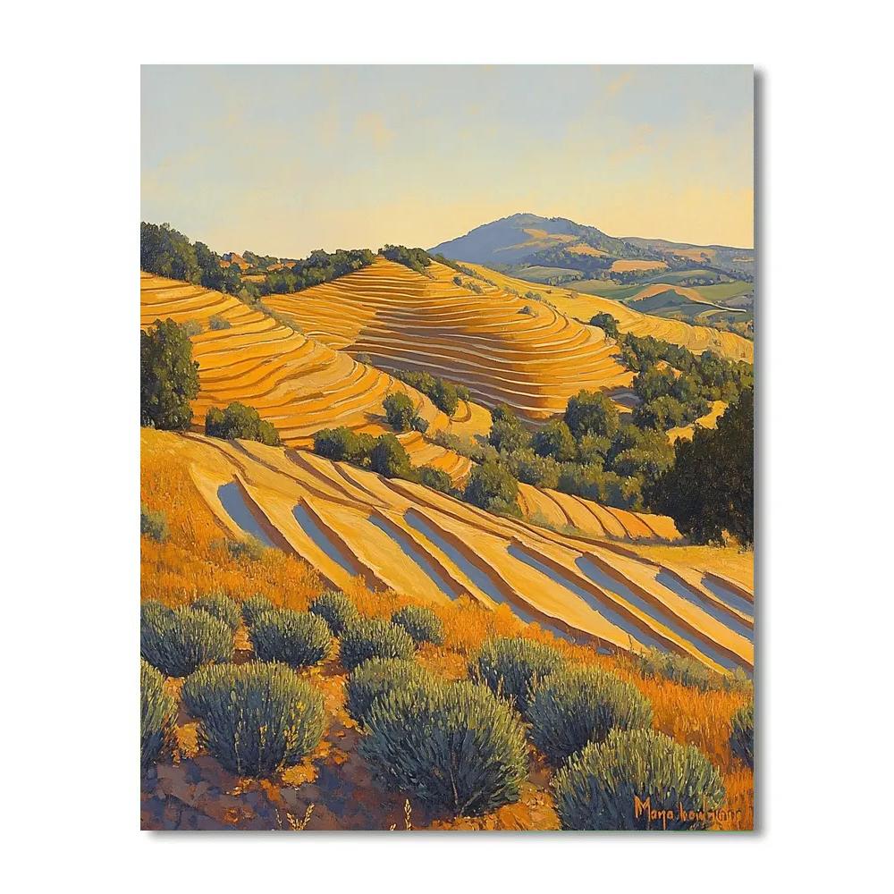 Paul Cézanne Inspired Golden Terrace painting number kit