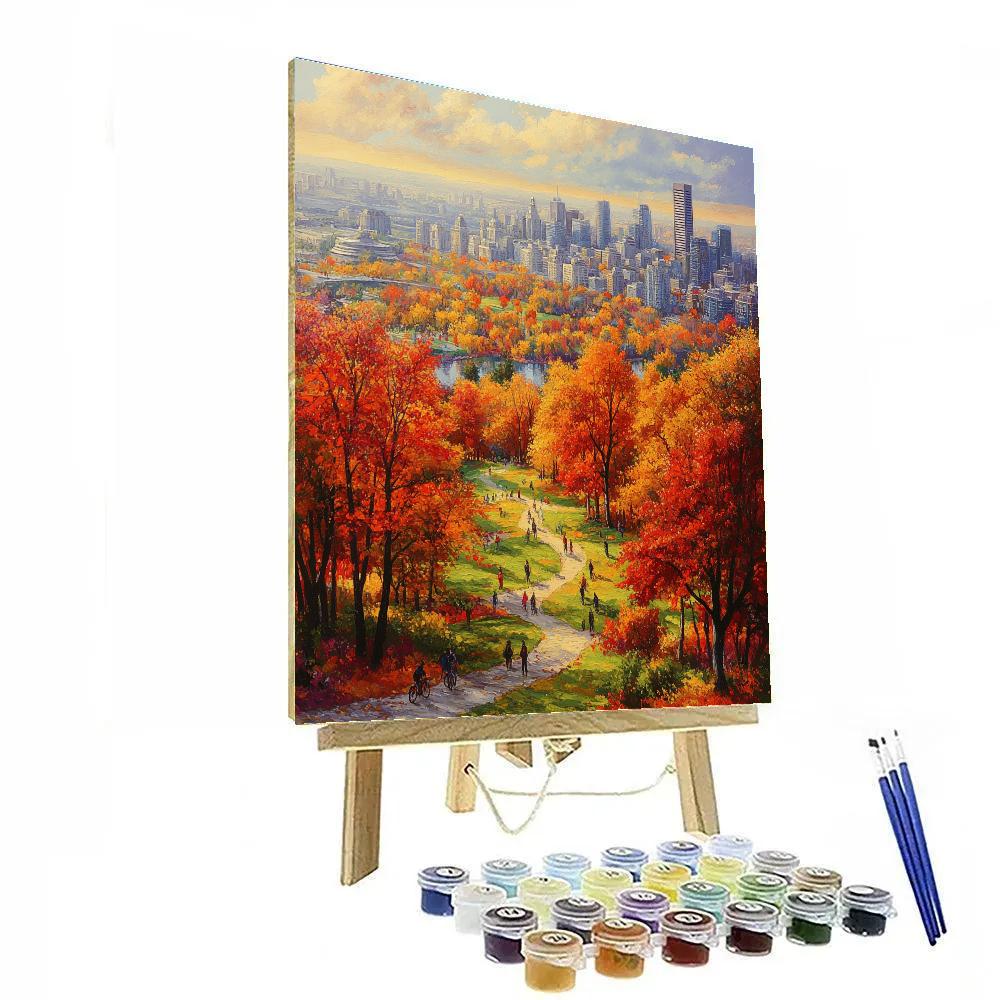 Aerial View Of Mont Royal Park In Montreal Canada paint by number