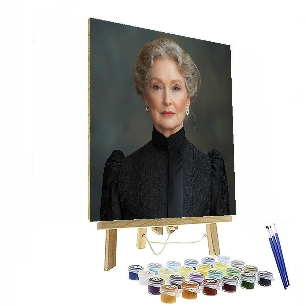 Meryl Streep: The Chameleon Of Quiet Brilliance painting number kit
