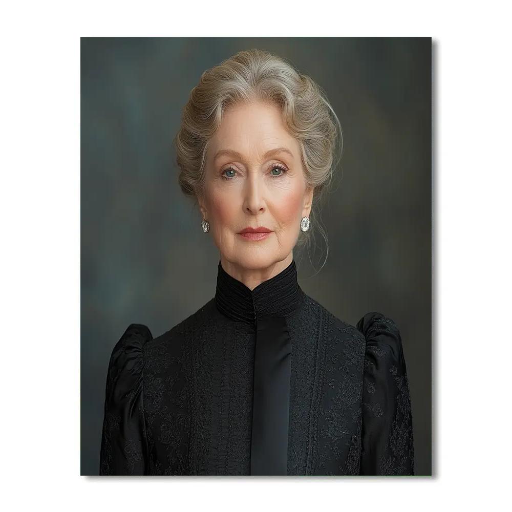 Meryl Streep: The Chameleon Of Quiet Brilliance painting number kit