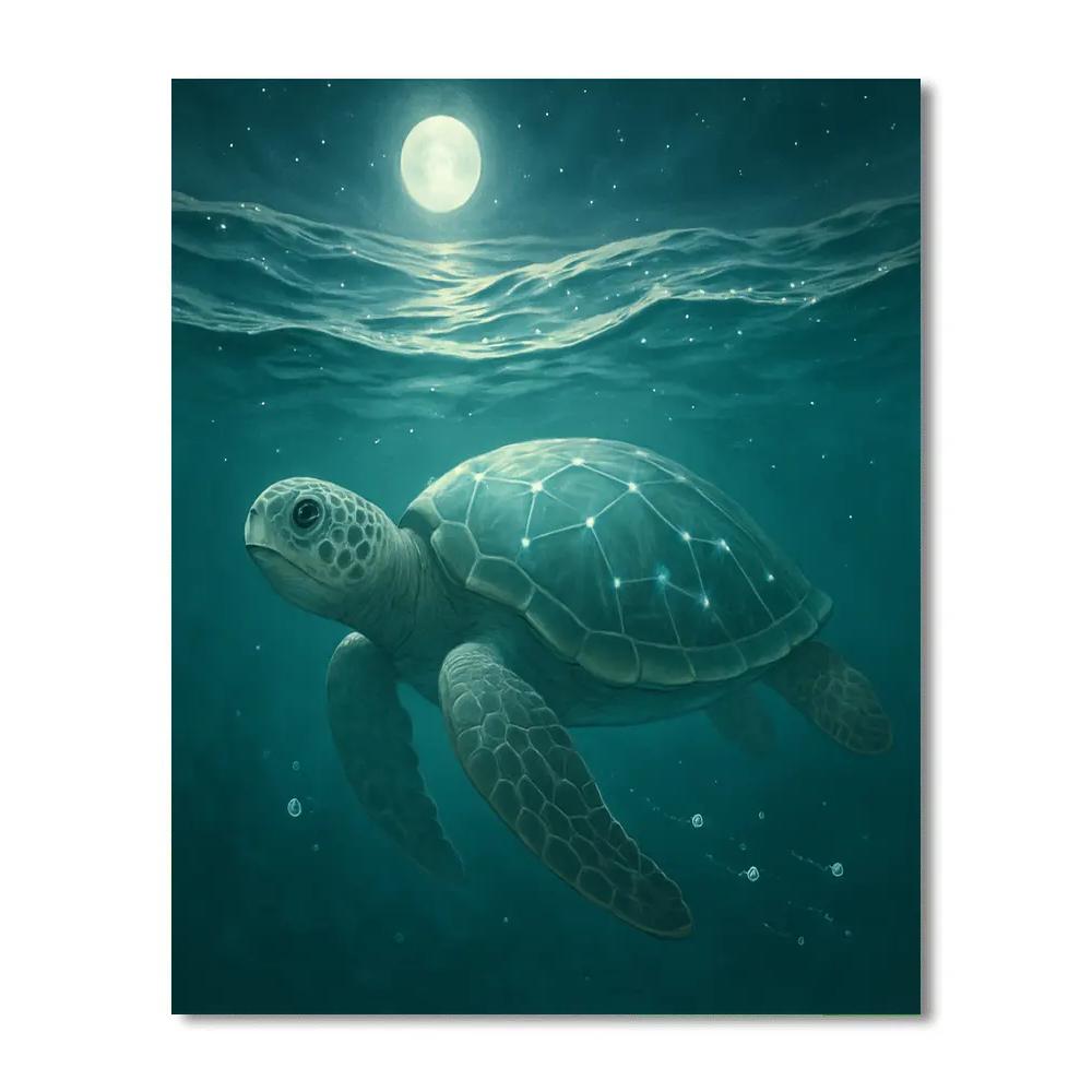 Turtle Tidal Star Drift Turtle paint by color