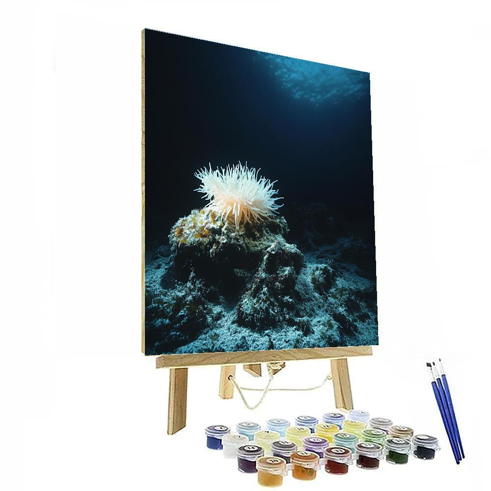 Caravaggio Inspired Moonlit Reef paint by number