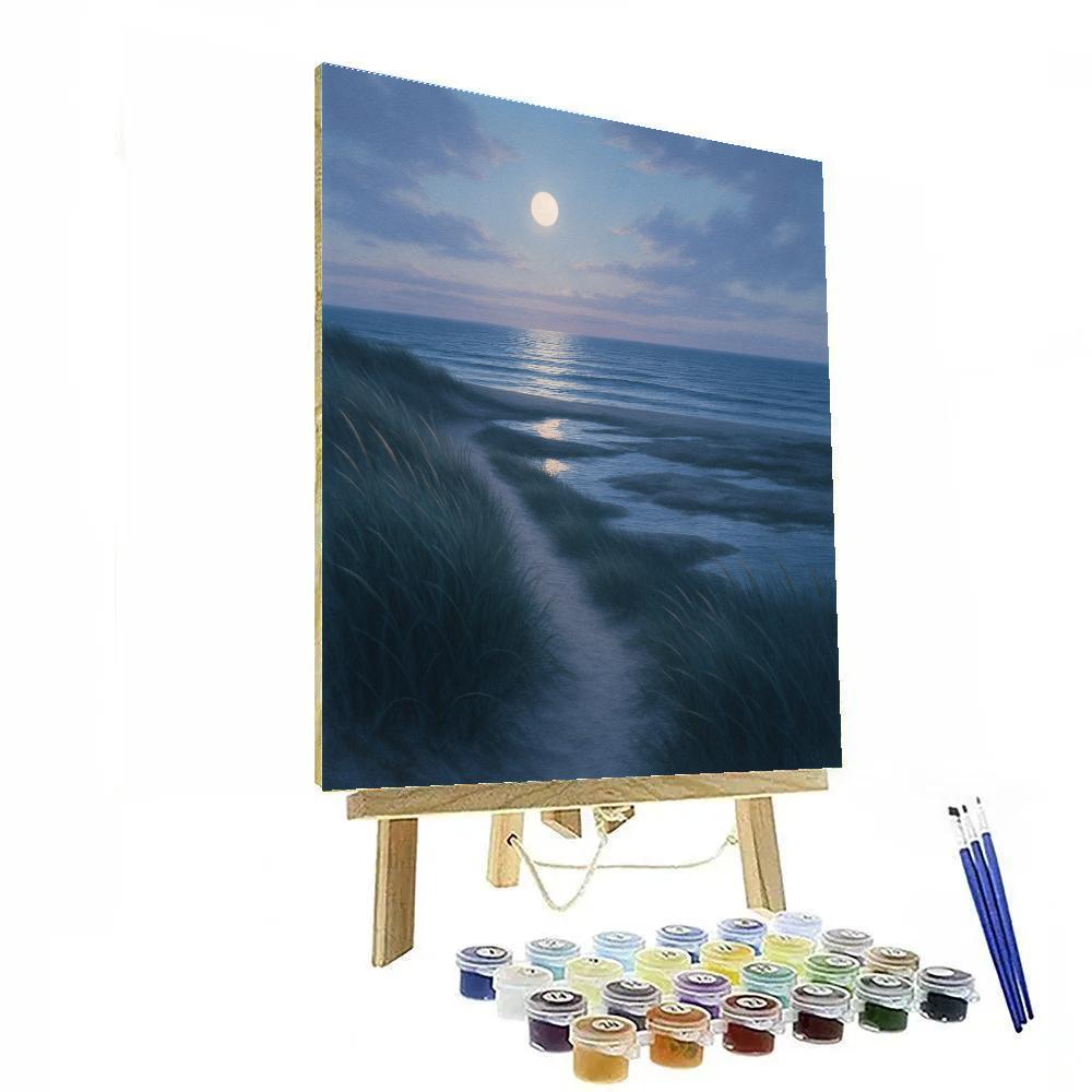 Moonlit Coastal Way Paint by numbers art