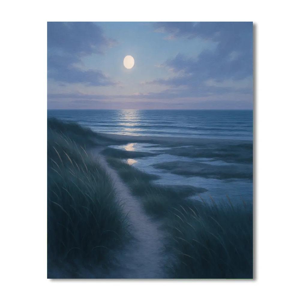Moonlit Coastal Way Paint by numbers art
