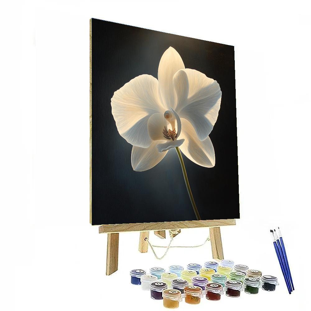 Caravaggio Inspired Celestial Orchid DIY paint by numbers