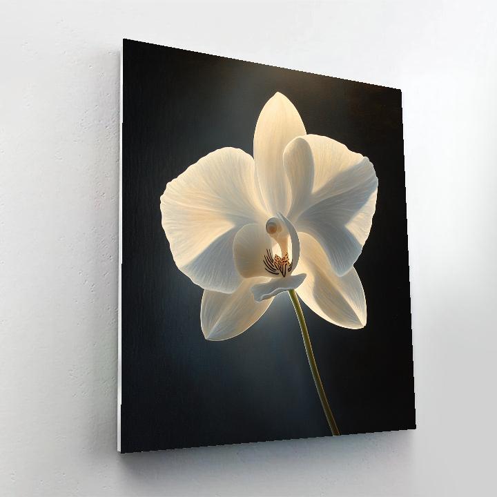 Caravaggio Inspired Celestial Orchid DIY paint by numbers