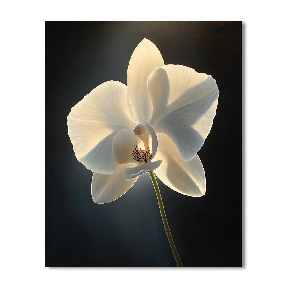 Caravaggio Inspired Celestial Orchid DIY paint by numbers