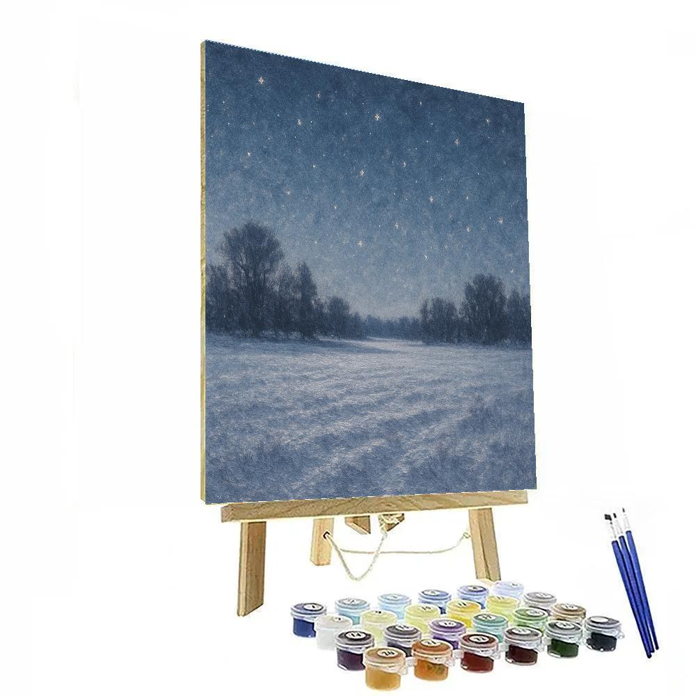 Starlit Frozen Meadow Paint by numbers kits