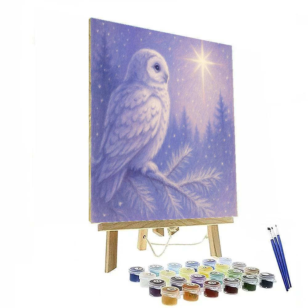 Winter Owl Watching Christmas Star Painting by numbers kit