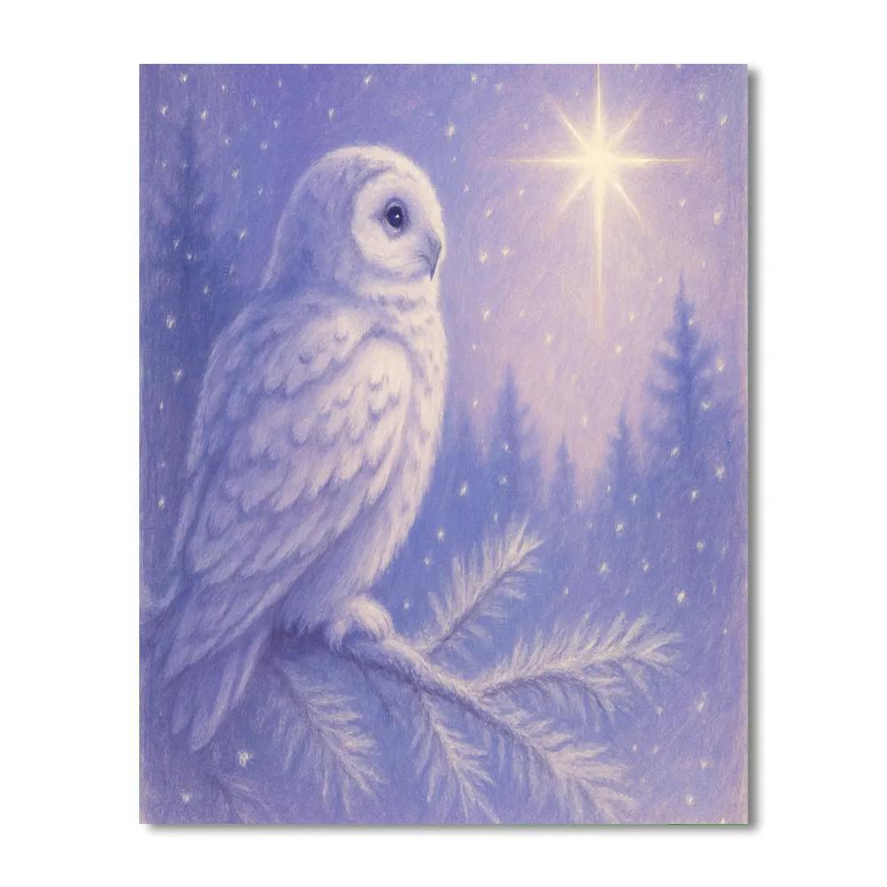 Winter Owl Watching Christmas Star Painting by numbers kit