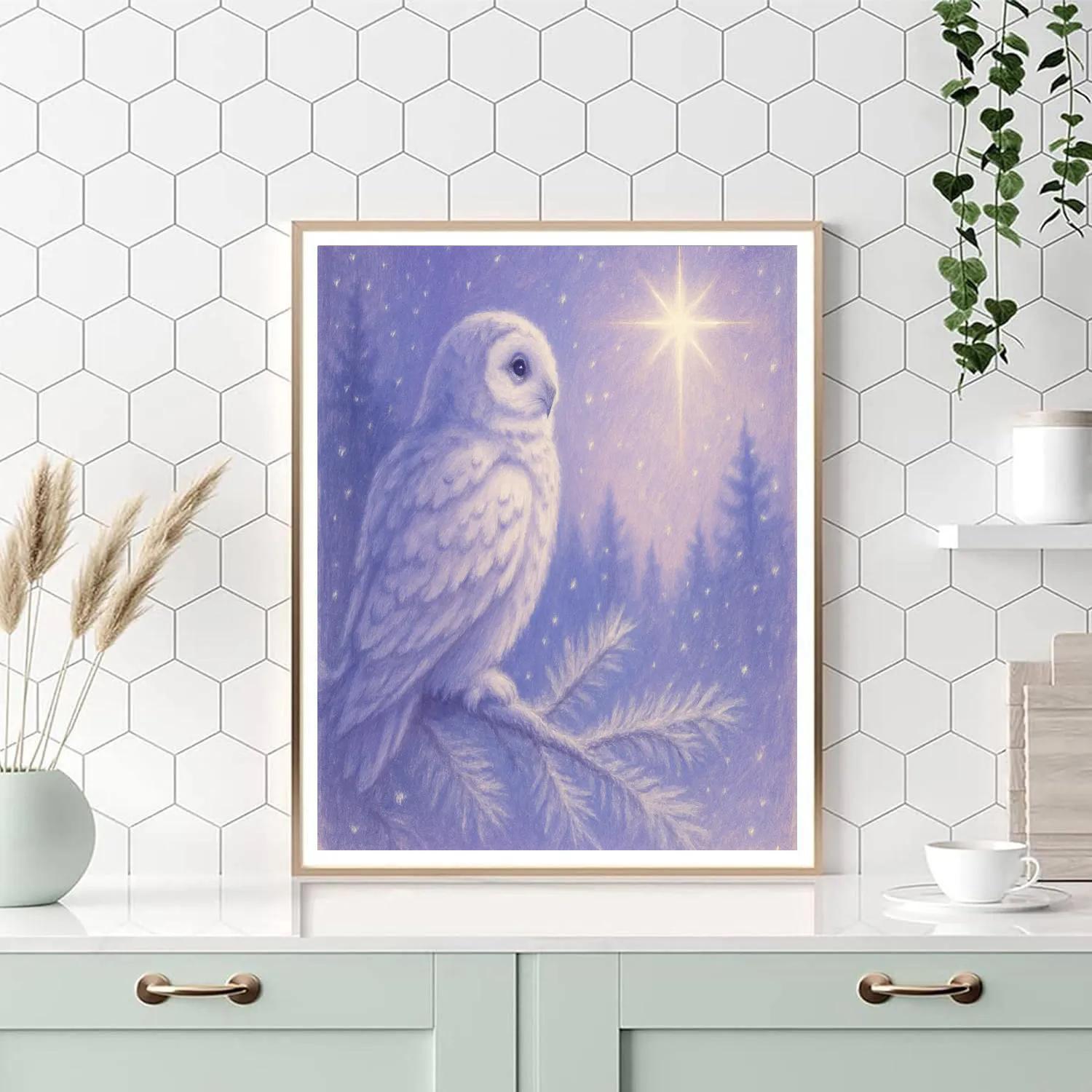 Winter Owl Watching Christmas Star Painting by numbers kit
