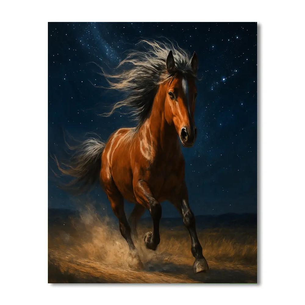 Horse Comet Gallop Paint by numbers kits