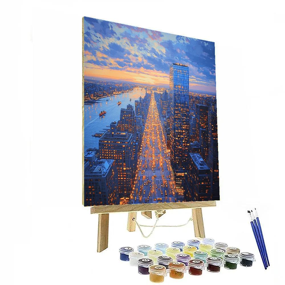 Manhattan Grid Aerial Vista New York City United States Painting by numbers kit