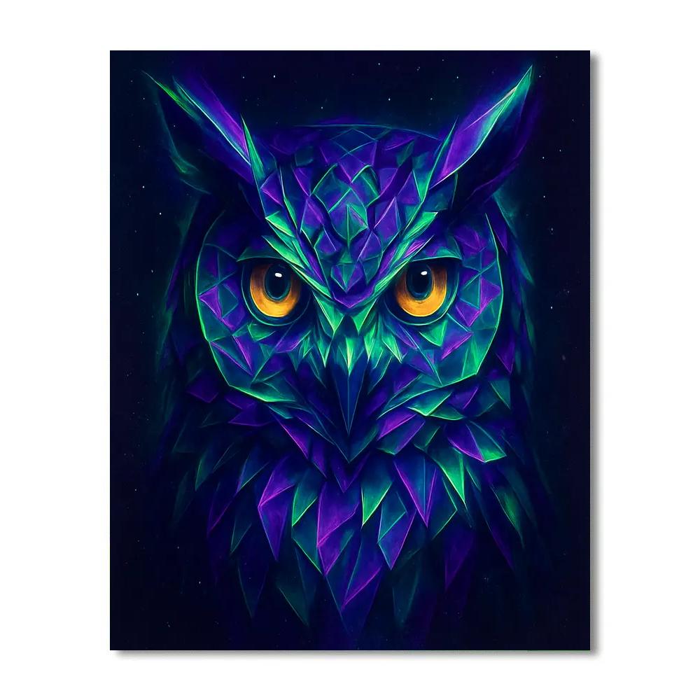 Midnight Owl Prism paint by numbers