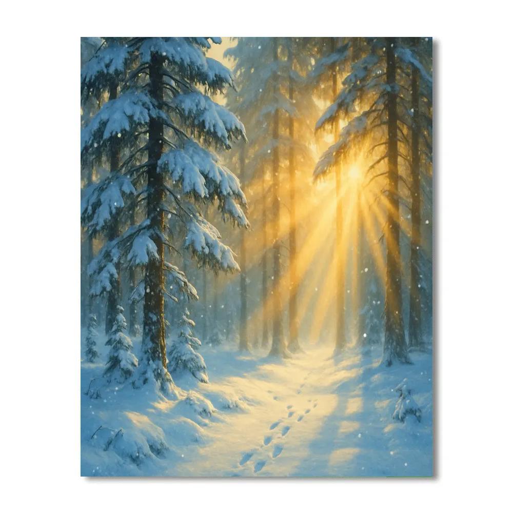 Snow-Covered Pine Forest With Golden Sun Rays Paint by numbers kits