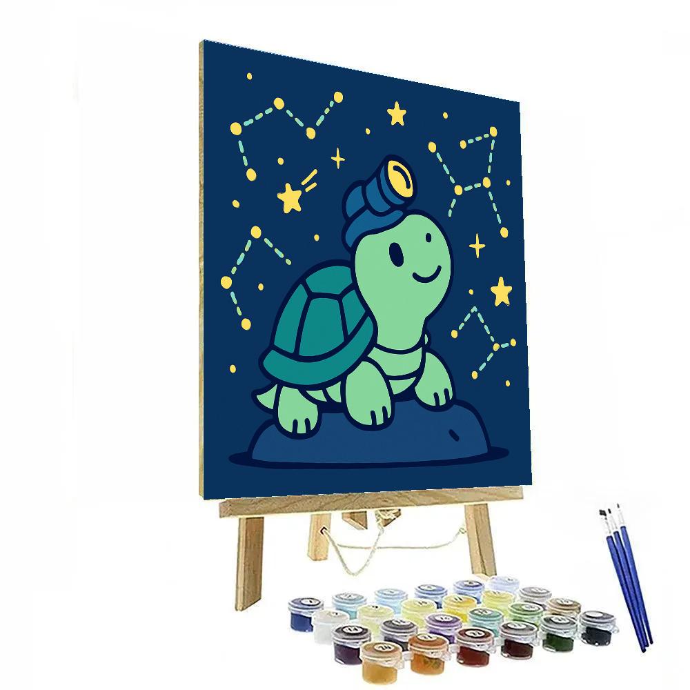 Stargazer Turtle Expedition paint by numbers