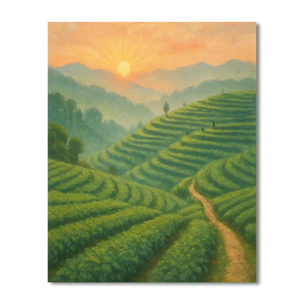 Sunrise Over Rolling Tea Hills paint by numbers