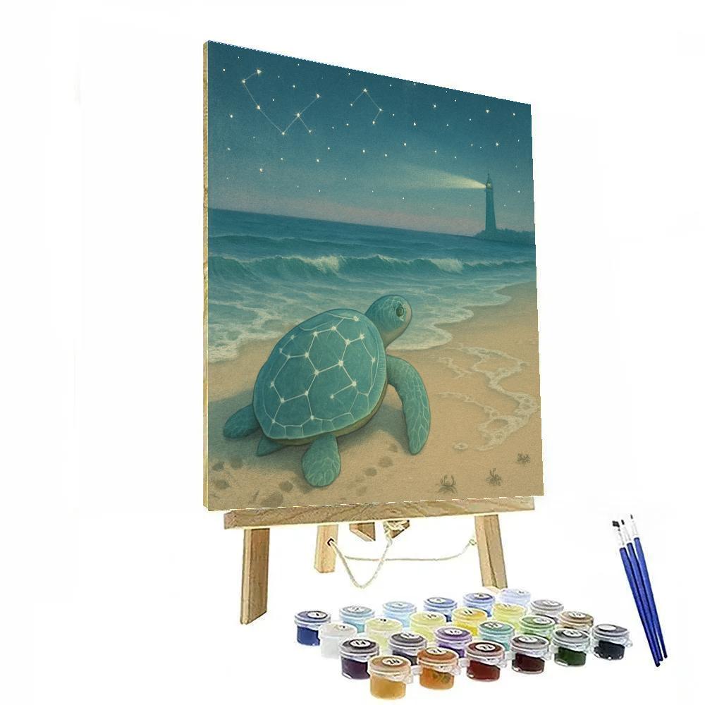 Turtle Starshore Pilgrim Numbered painting kits