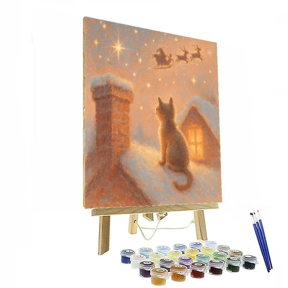Snowy Rooftop Cat Watching Stars Paint by numbers art