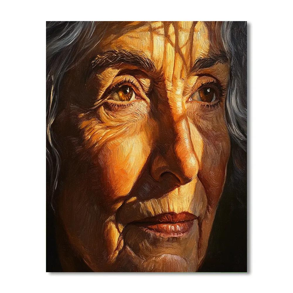 Rembrandt Inspired Portrait Of A Wise Elder Paint by numbers kits