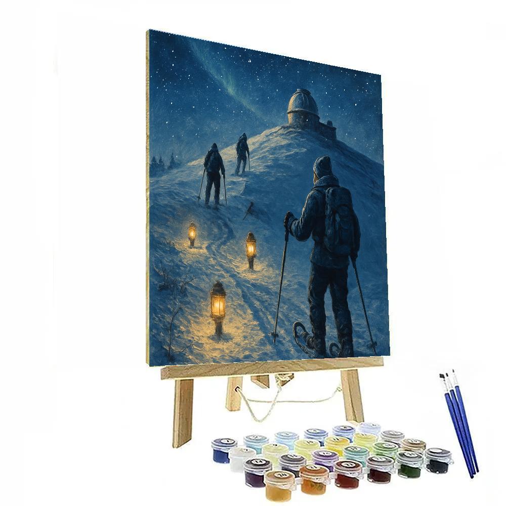 Snowshoe Trail To The Observatory DIY paint by numbers