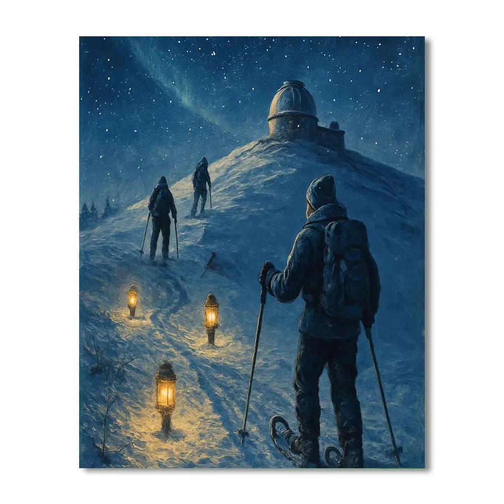 Snowshoe Trail To The Observatory DIY paint by numbers