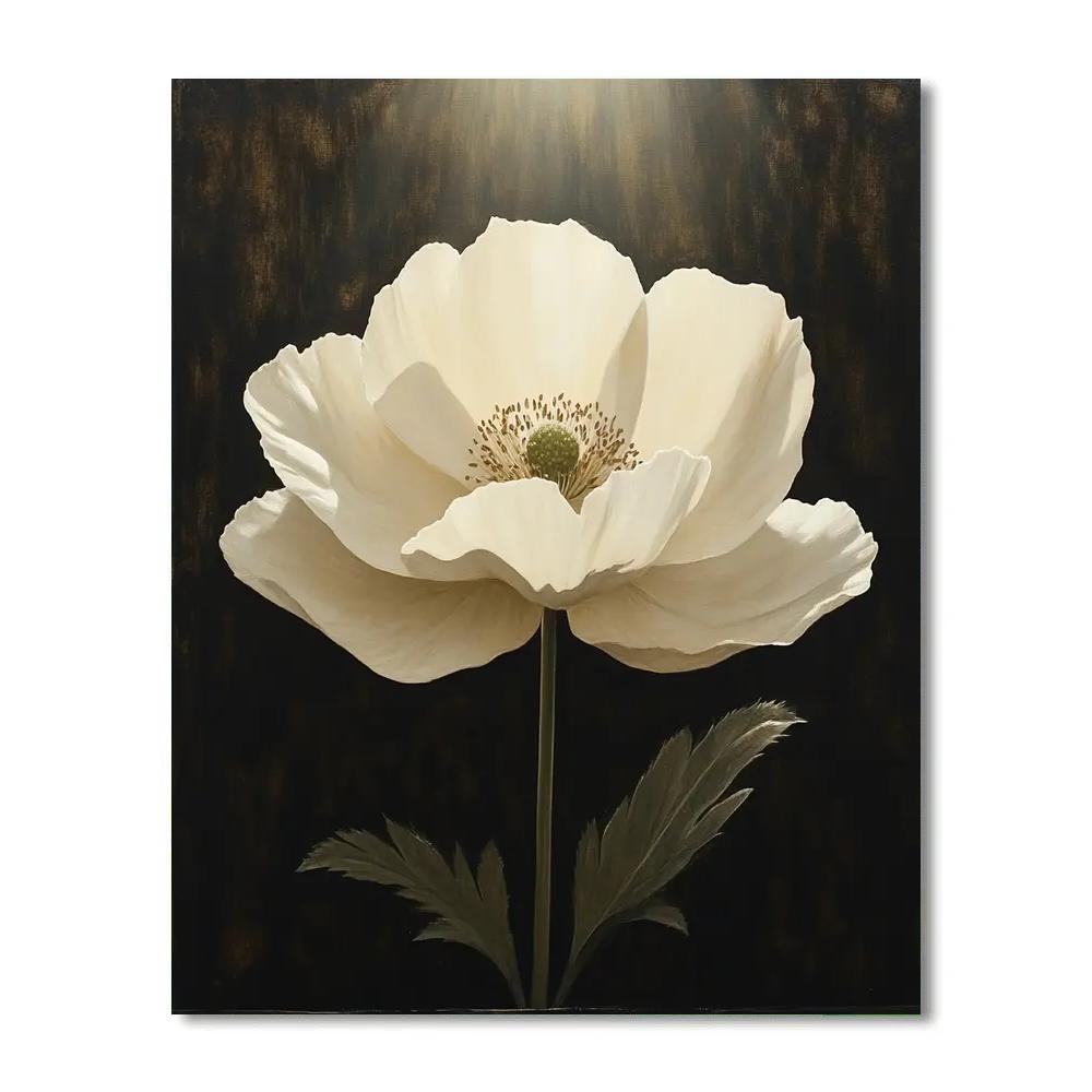 Caravaggio Inspired Night Orchid Nocturne paint by number